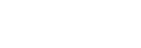 White Deloitte logo