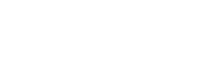 White Exclusive Networks logo