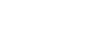 white ForgeRock logo