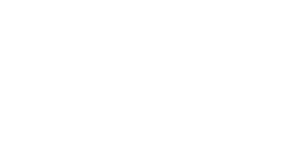 white Risksense logo