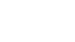 white Safeguard Cyber logo