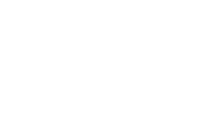 white illusive logo