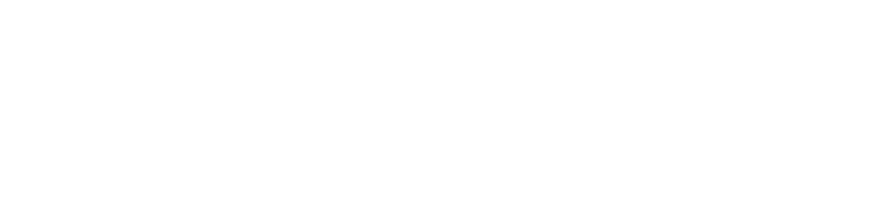 white HawkEye logo