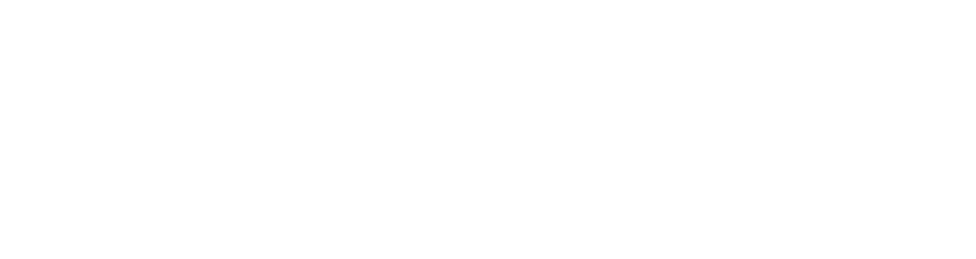 white Risksense logo