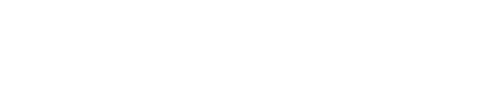 white Safeguard Cyber logo