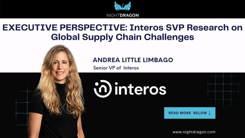 Andrea Limbago Executive Perspective